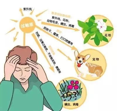 640.webp (10).jpg