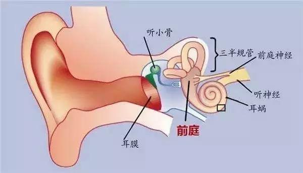 微信图片_20171002202322.jpg