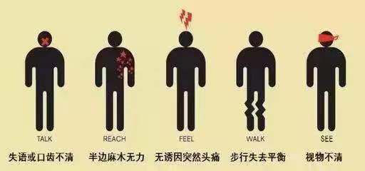 世界卒中日|脑卒中偏爱这5种人！你中招了吗？